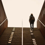 Homo Vector, de mens in het intelligentietijdperk